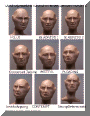 FacialExpTutorialSeriesPage2.gif (246617 bytes)